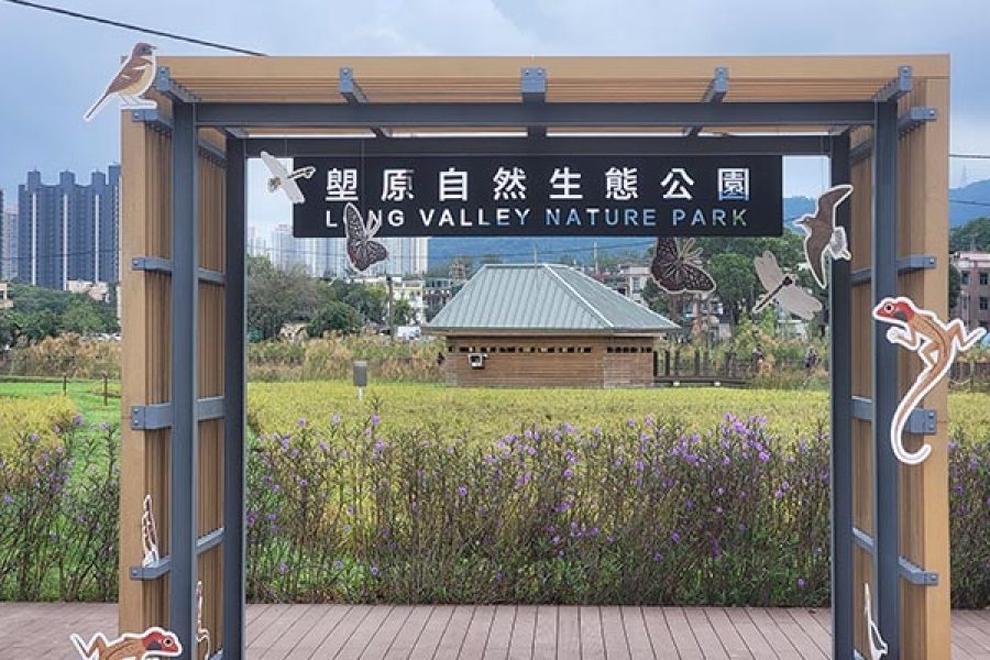 生態初探 – 塱原自然生態公園